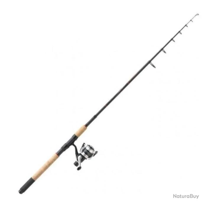 Ensemble Canne Téléscopique Mitchell Tanager R Tele Spin - 2.40 M 1 Ensemble Canne Téléscopique Mitchell Tanager R Tele Spin - 2.40 M