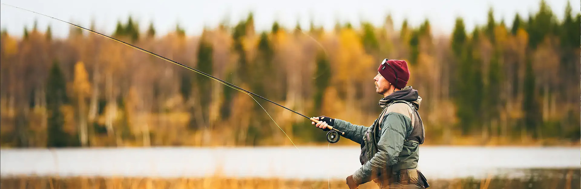 Mitchell -Mitchell 1