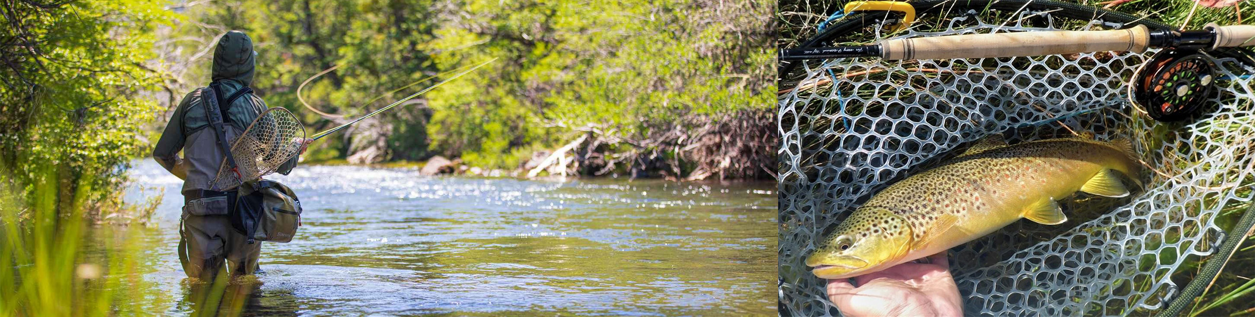 Mitchell -Mitchell 2